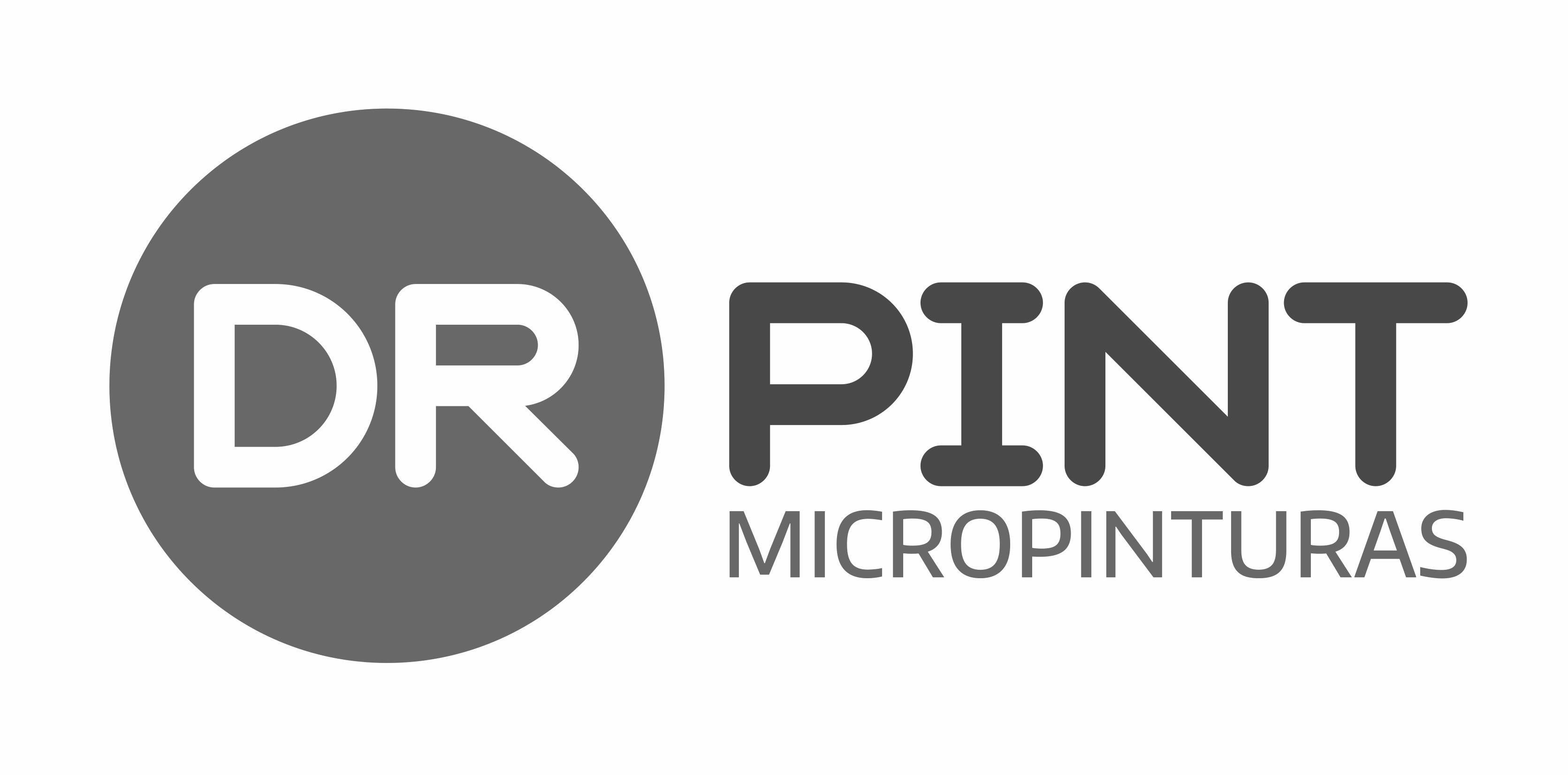 DR Pint Micropinturas